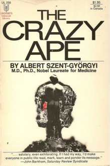 szentgyorgy-the-crazy-ape2_sm