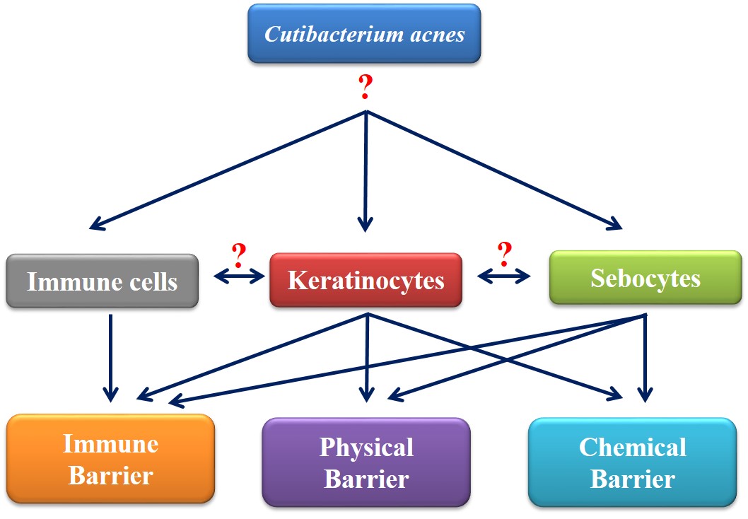 MICROBIOM