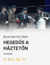Hegedus_a_hazteton