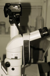 datki zsolt - mikroszkop