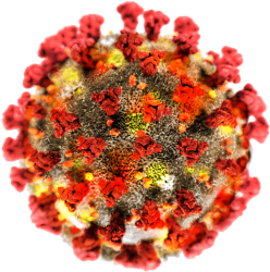 covid-19-virus