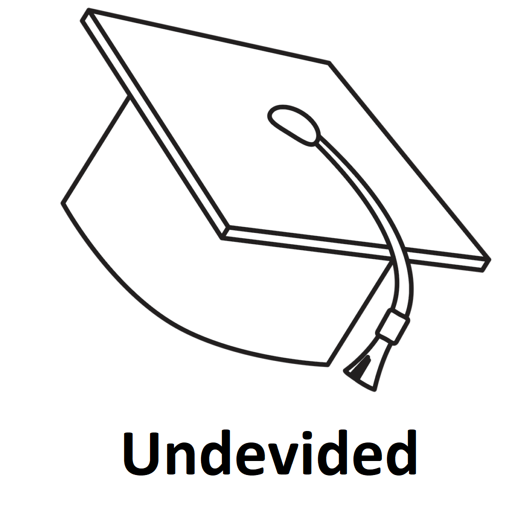 UndevidedIcon-1024x1024