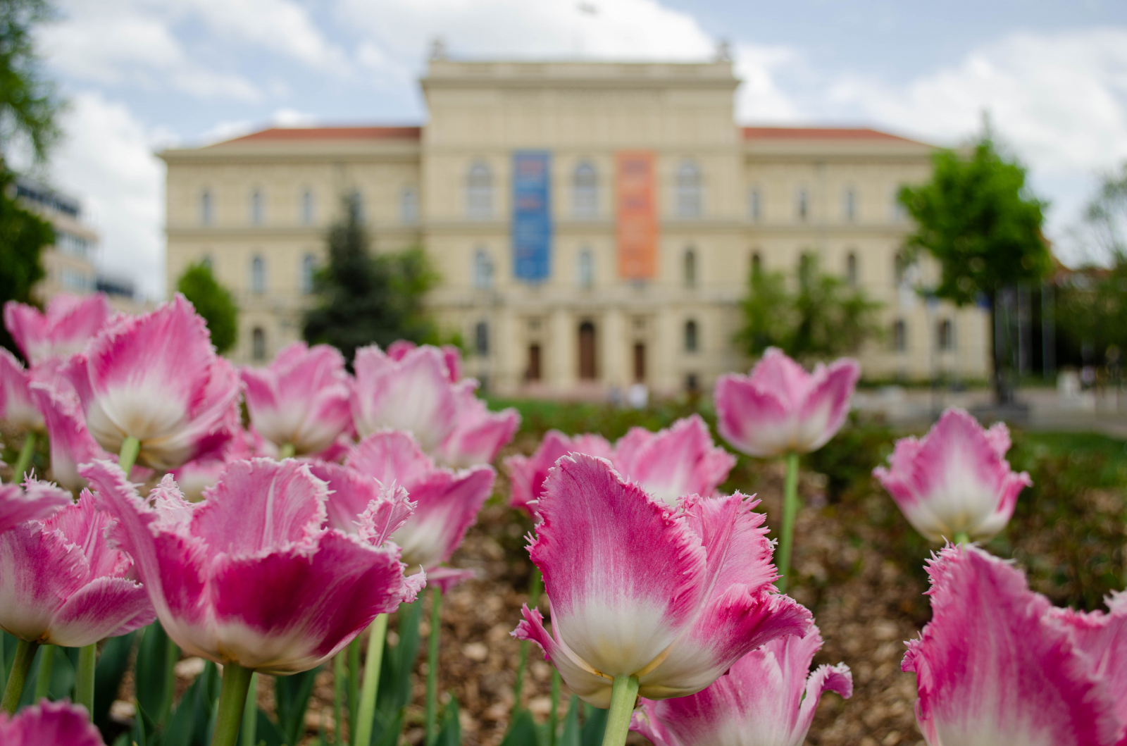 Szegedi Tudományegyetem | Kezdődik a Szegedi Tudományegyetemen az Egyetemi  Tavasz