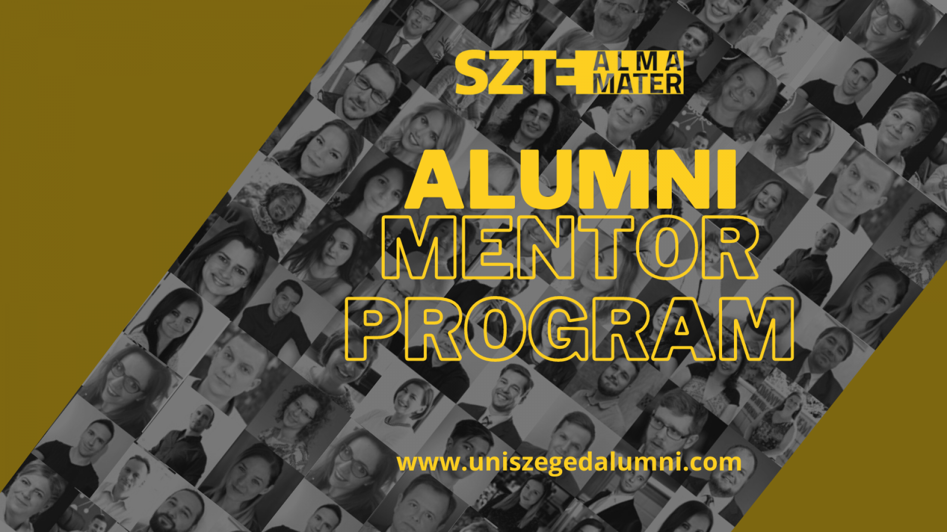 Alumni mentorprogram