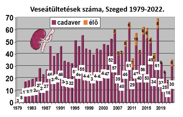 Veseatultetesek_szama_Szeged_1979-2022.