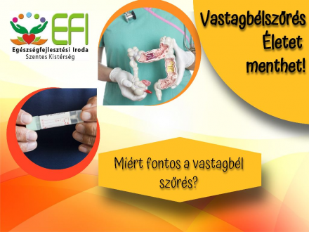 Vastagbel_01 Vastagbel_01