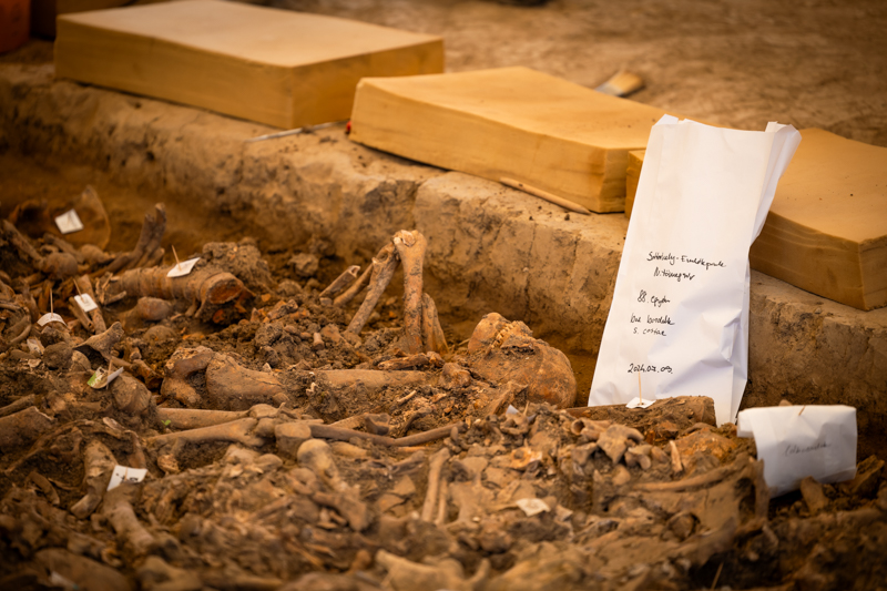 Csontvázmaradványok azonosítása a Mohács-Sátorhely IV. tömegsír feltárásán