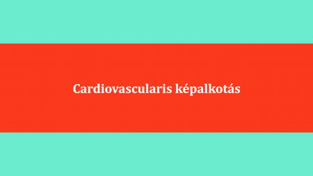 cardiovascular