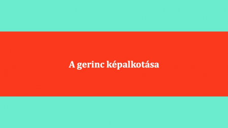 A_gerinc_kepalkotasa