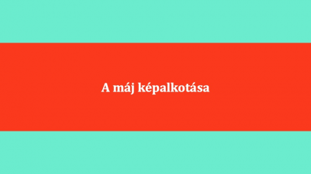 A_maj_kepalkotasa