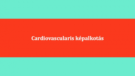 Cardiovascularis_kepalkotas