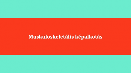 Muskuloskeletalis_kepalkotas