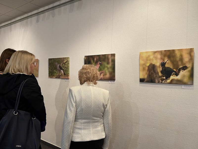Csanády Nóra kiállítása Csanády Nóra kiállítása