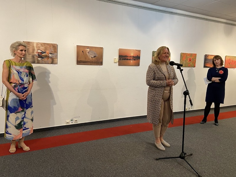 Csanády Nóra kiállítása Csanády Nóra kiállítása