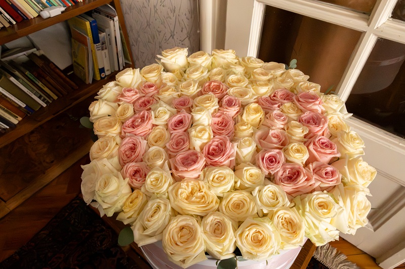 100_rozsa_j_2025.08.09._beladi_ilona-481