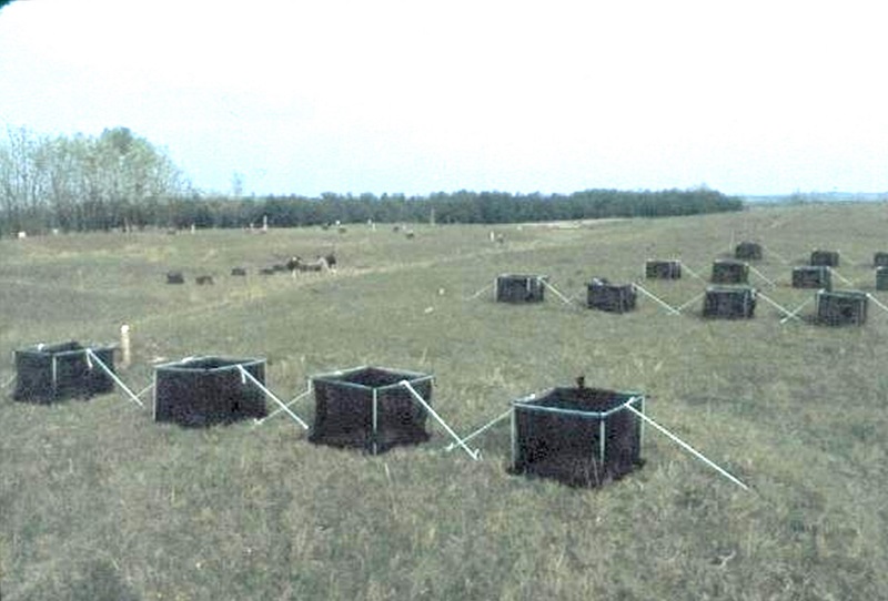 Bugacprojektregen_j Bugacprojektregen_j