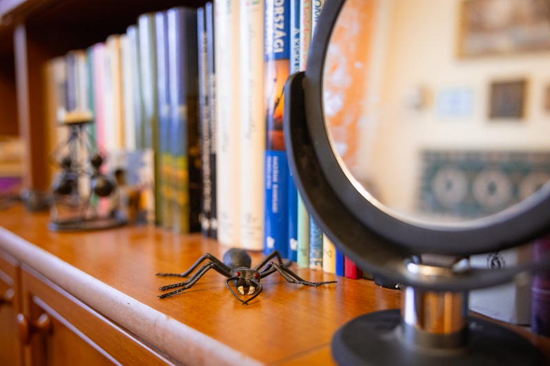 Galle_L_dolgozoszoba_reszlet_KJA-Number-00831