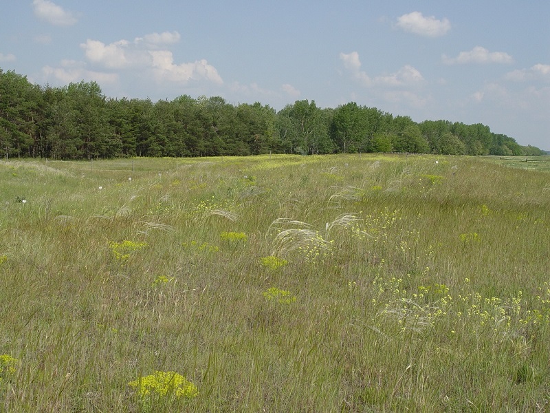 Projek80asevek_j Projek80asevek_j