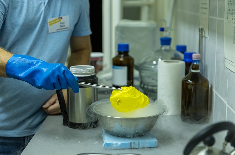 Kutatok_Ejszakaja2025_web Kutatok_Ejszakaja2025_web