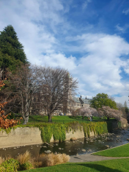 54e76a34-01ad-458f-a403-d348e89ad88d