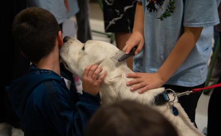 A kutyák gyógyíthatatlan emberszeretettel születnek