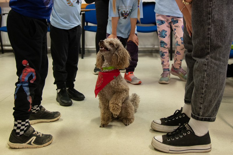 Kutatók Éjszakája