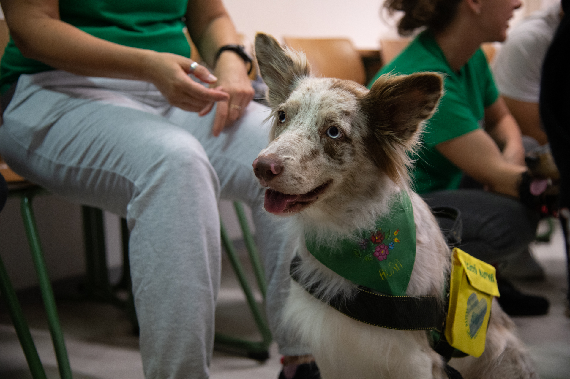 Kutatók Éjszakája