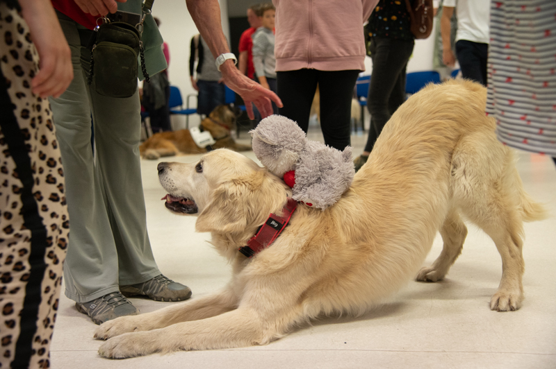 Kutatók Éjszakája