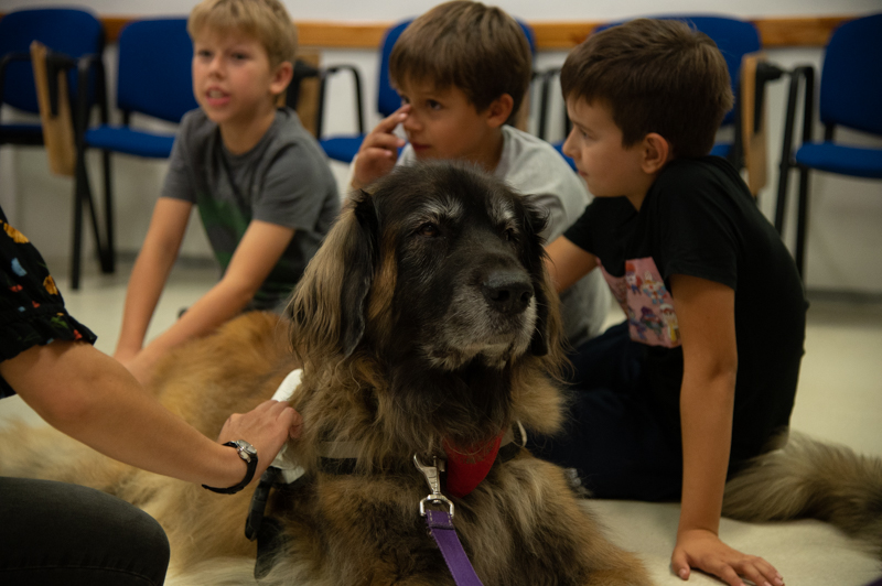 Kutatók Éjszakája