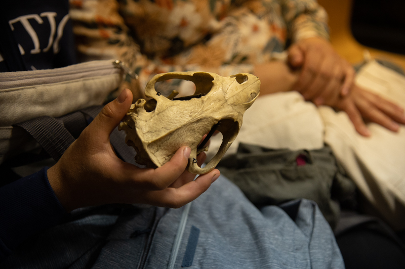 Kutatók Éjszakája Kutatók Éjszakája