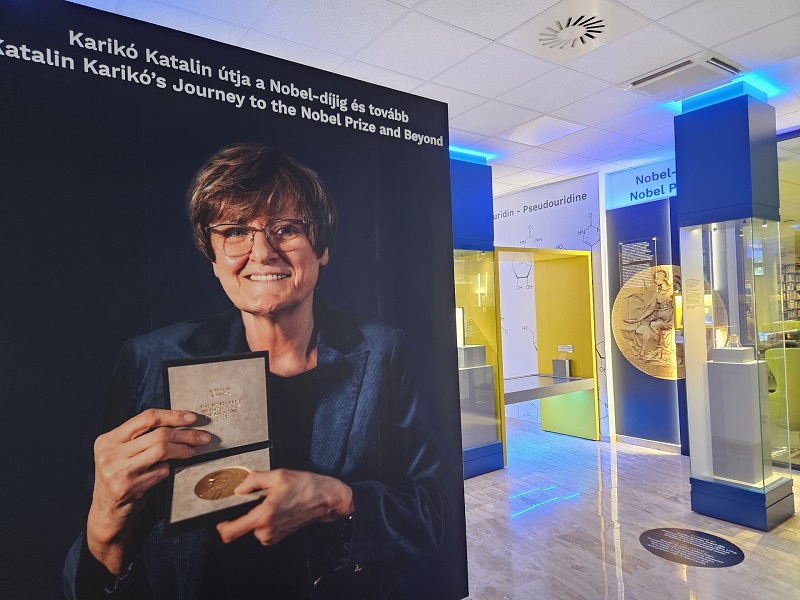 Kariko_allando_kiallitas_20250327_165605