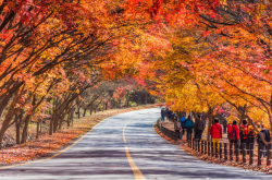 November_csaladbarat