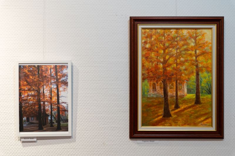 DSC_5169-17 DSC_5169-17