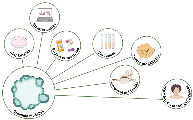 Organoid_facility_02
