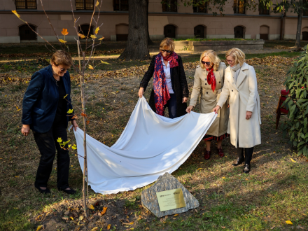 465476817_977769657721399_3275730683971848179_n