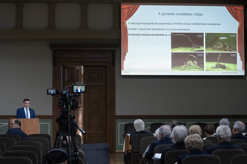 Gacser_Attila_eloadsa_a_Gombak_csodalatos_vilagarol_20251106