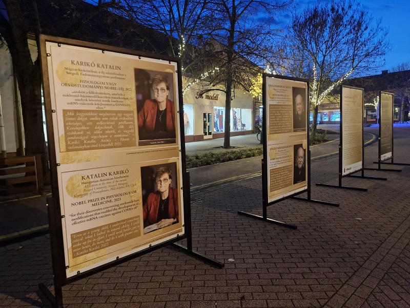 Gyulan_Kariko_Katalin_tablo