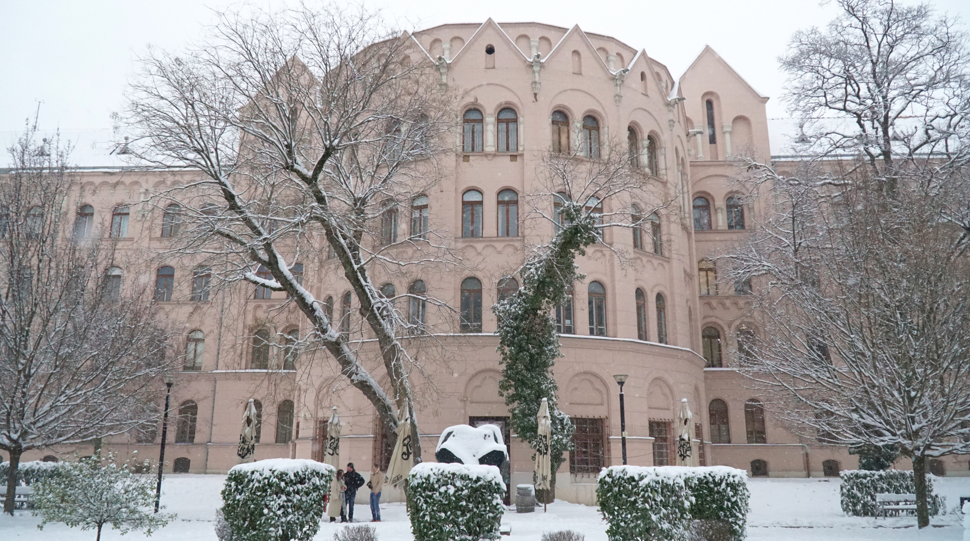 foto_-_Nagy-Mikola_Sandor_-_SZTE_BTK