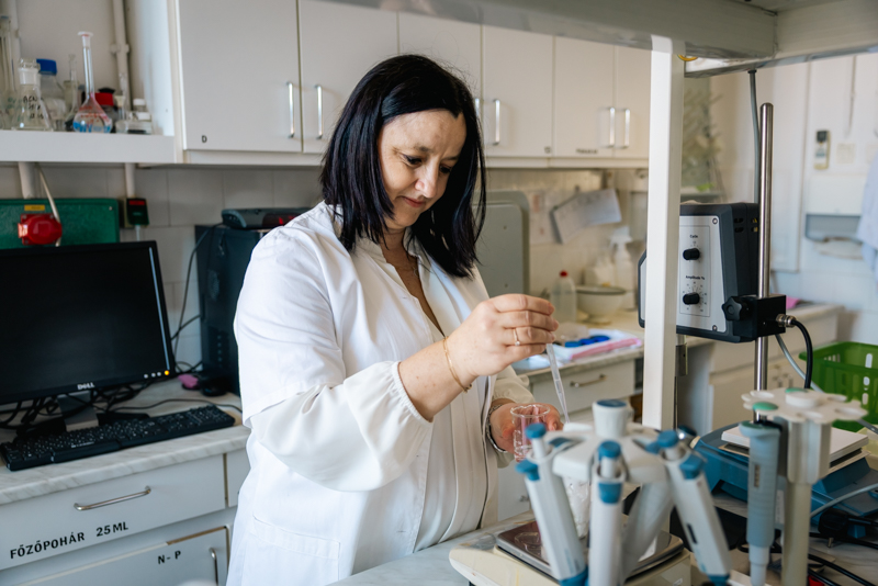 gytk_di__jazott_w_6 gytk_di__jazott_w_6