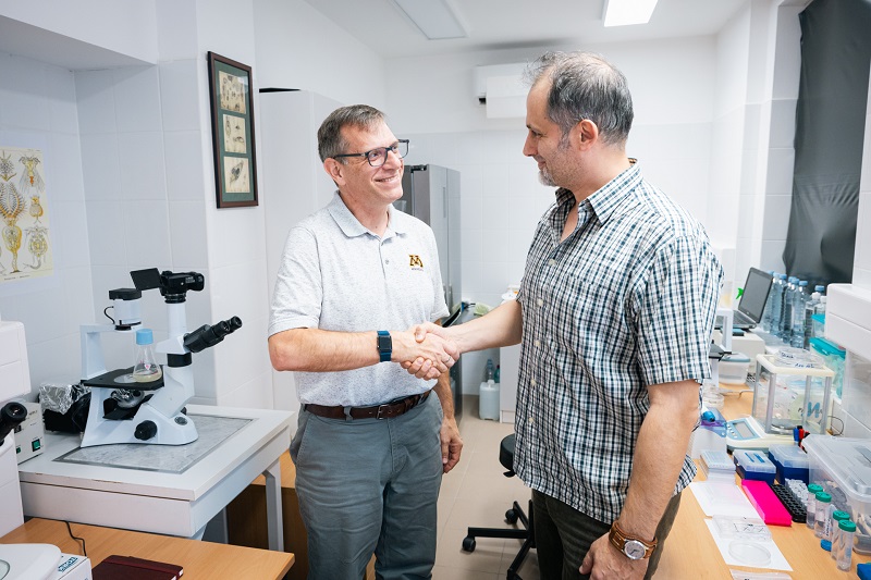 Fulbright-ösztöndíj