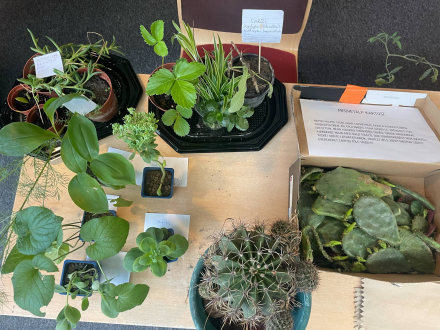 505228355_1113702464115595_5386264269835609567_n