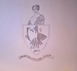 Csupor_David Csupor_David