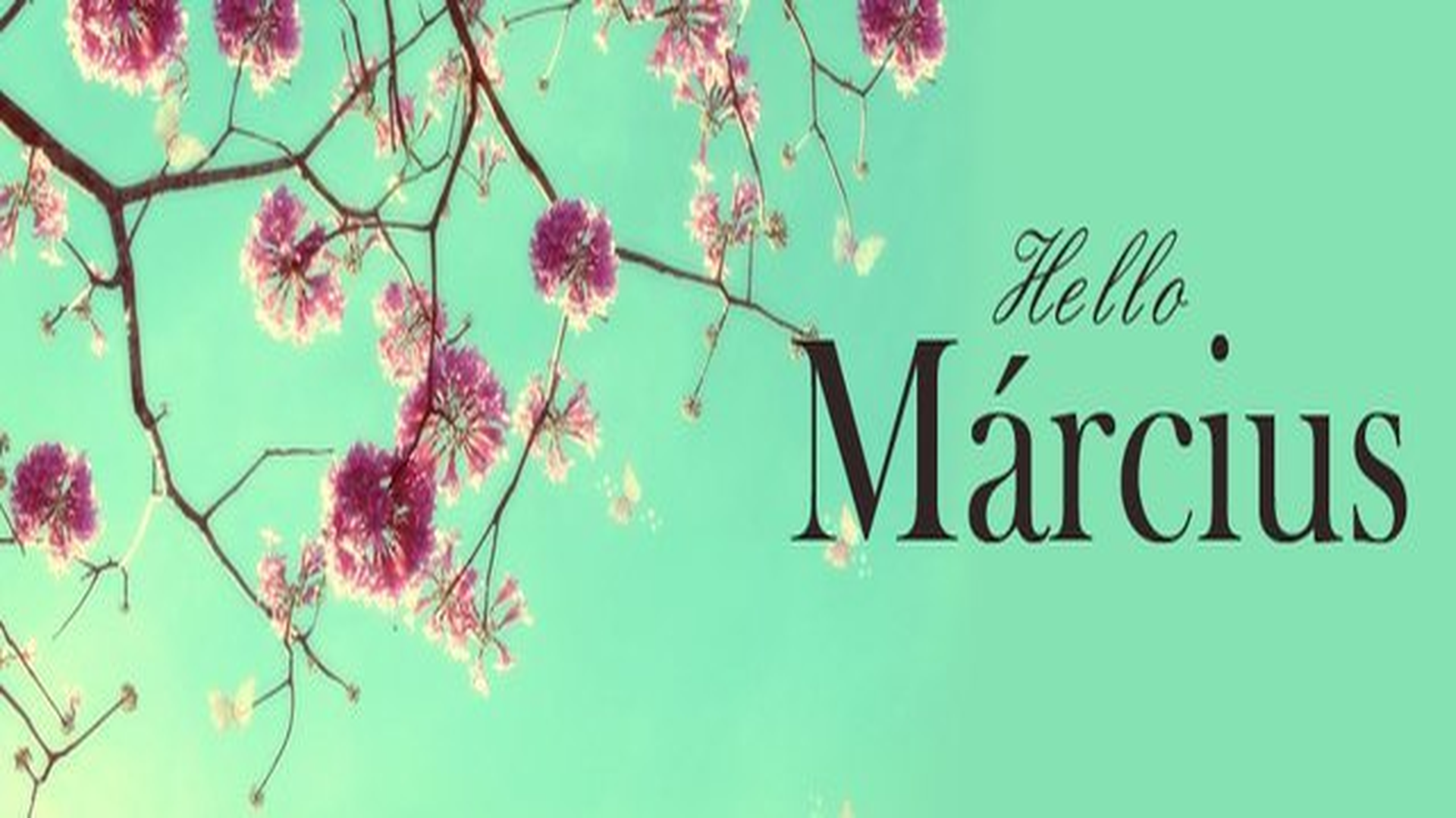 marcius_full_hd_1920x1080 marcius_full_hd_1920x1080