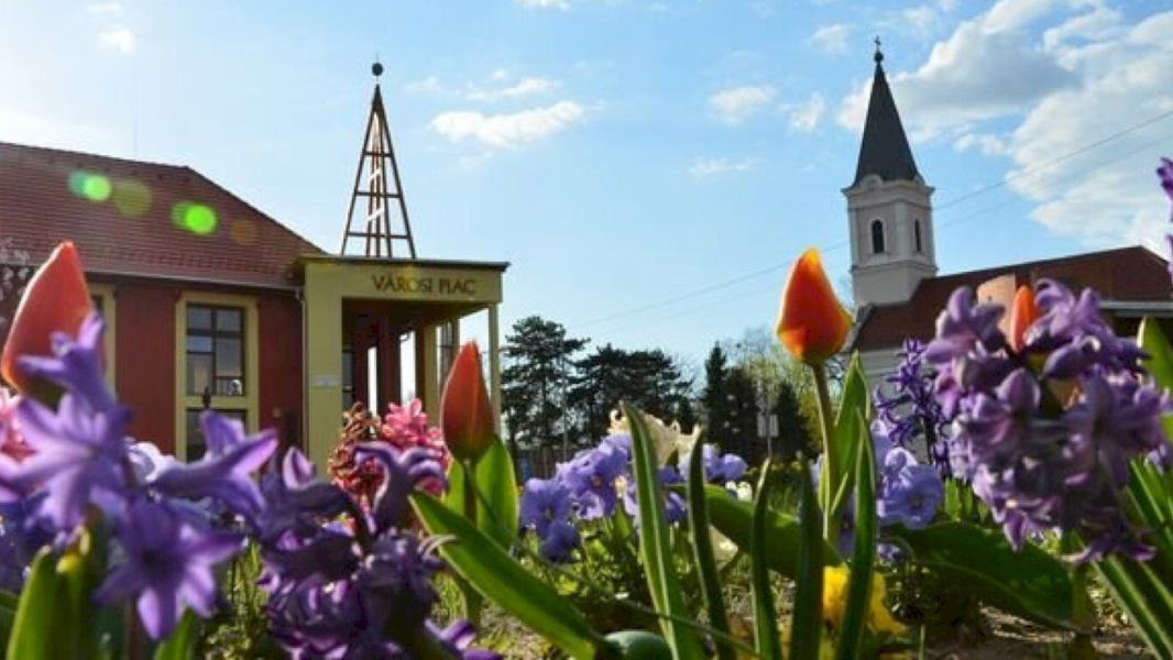 Mórahalom_EFYE Mórahalom_EFYE