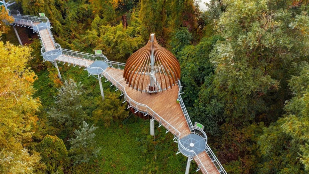 Makó_EFYE Makó_EFYE