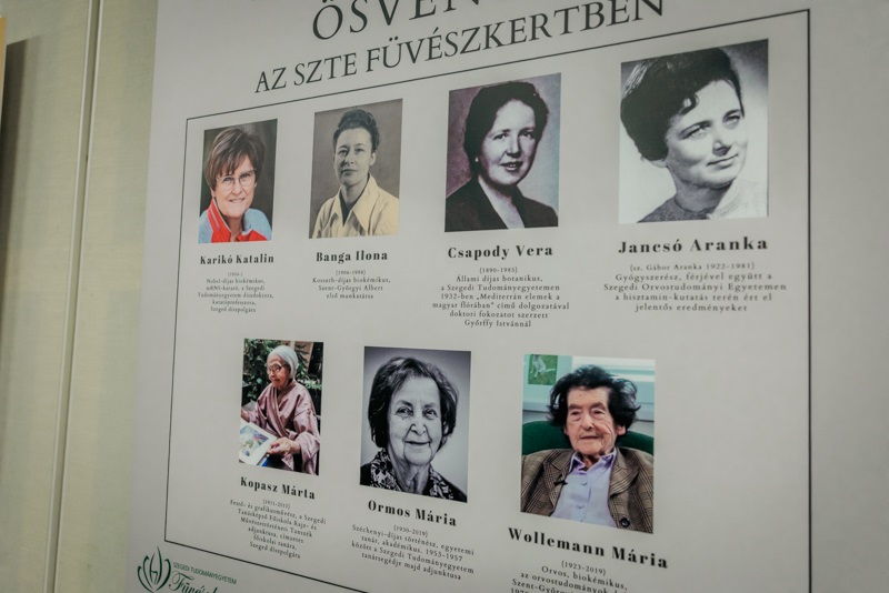 Kiallitas_Agora_0306W-31