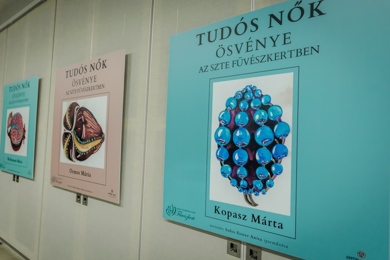 Kiallitas_Agora_0306W-33