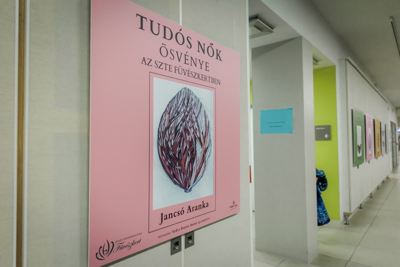 Kiallitas_Agora_0306W-34