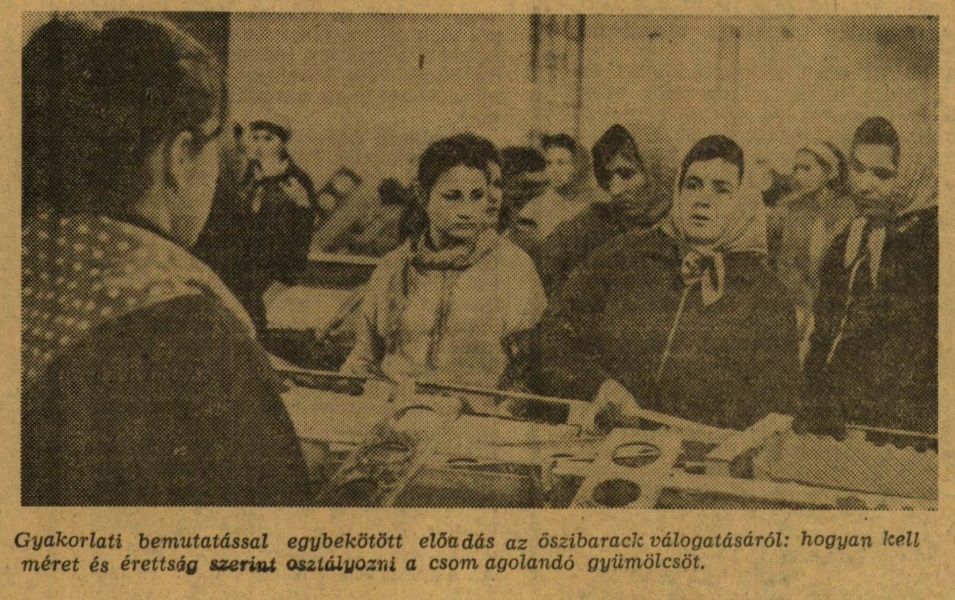 Szavay_epitotabor_riport_sze_1969_011_005