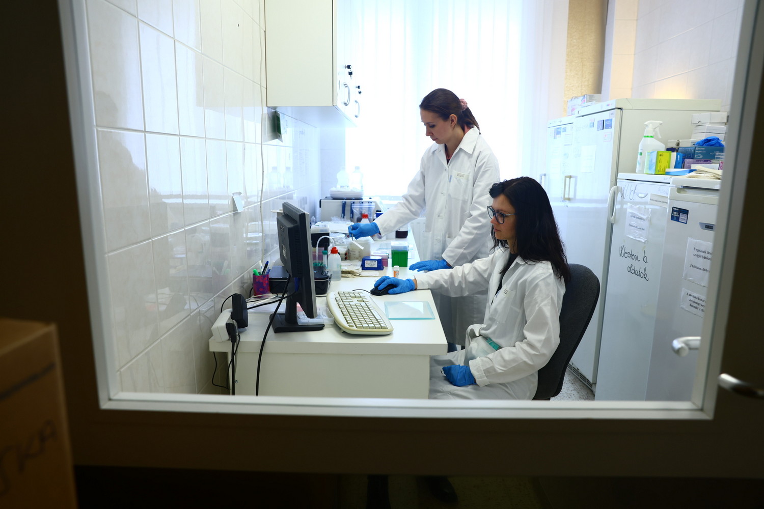 SZTE_Prof_Dr_Kemeny_Lajos4